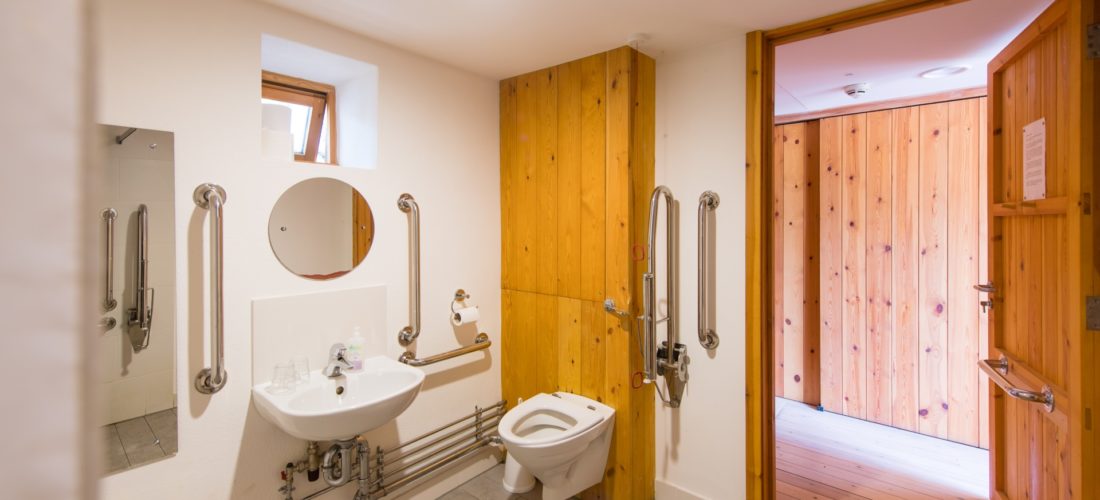 Toiledau i’r anabl yn CyDA