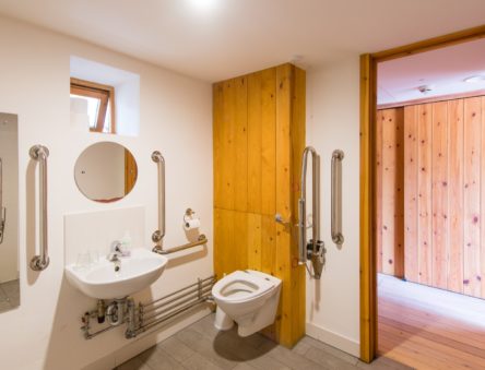 Toiledau i’r anabl yn CyDA
