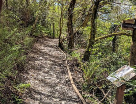 quarry trail