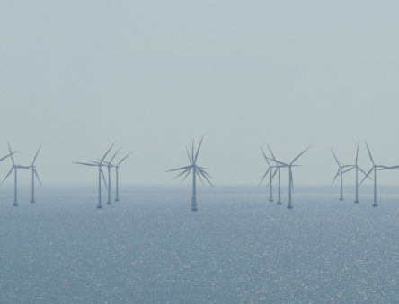 Turbines - Demand a Climate Emergency Action Plan