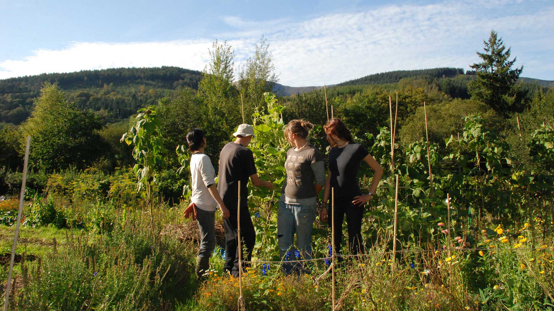 Picture of Beth sy’n digwydd